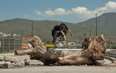 Raul Garcia Flip Zamora